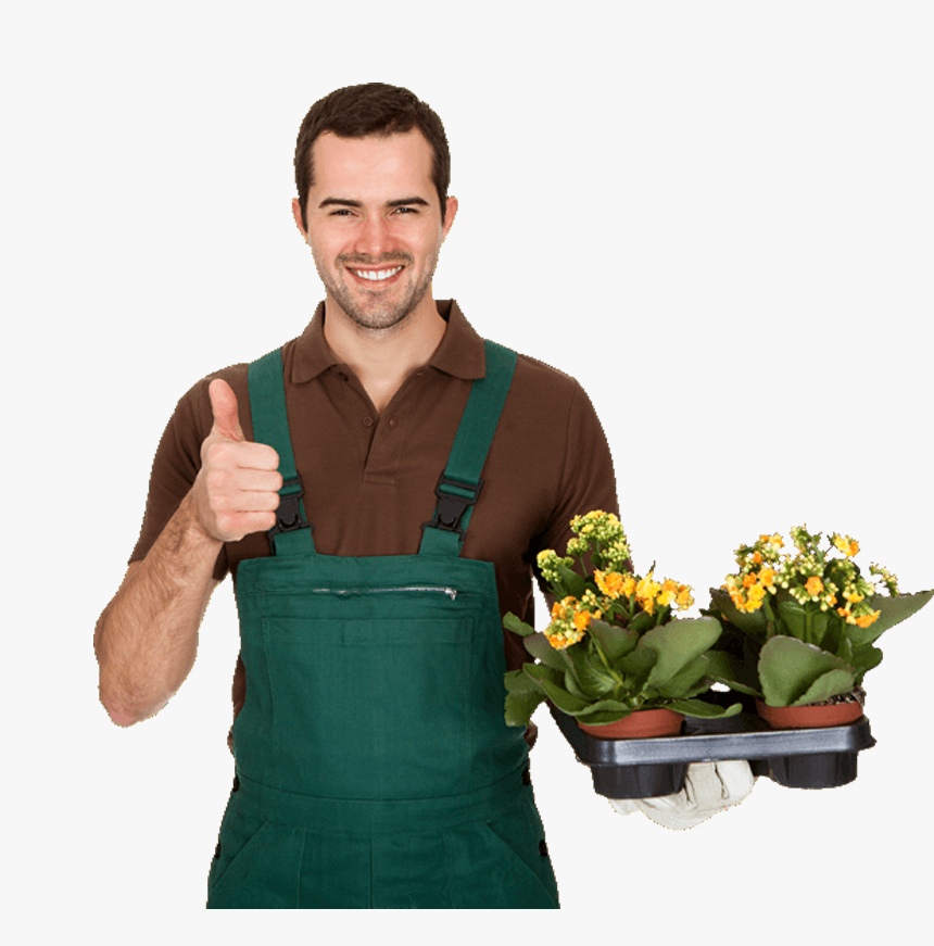 Services gardining Services gardining